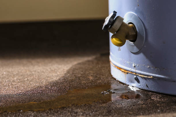 Best Carpet water damage restoration  in Wareham Center, MA