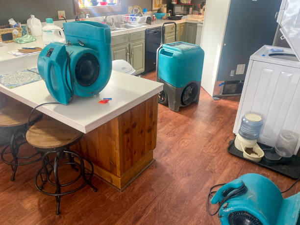 Best Mold removal after water damage  in Wareham Center, MA
