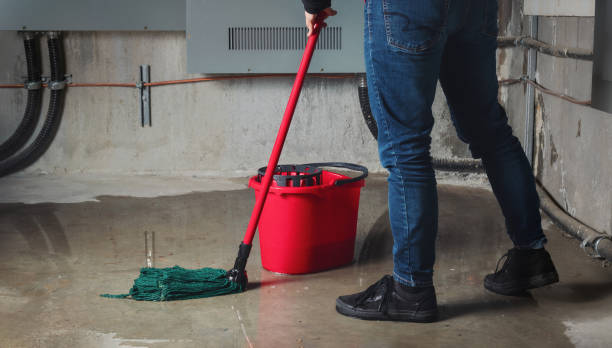 Best 24/7 water damage repair  in Wareham Center, MA