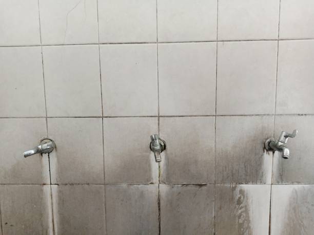 Best Water damage restoration services  in Wareham Center, MA