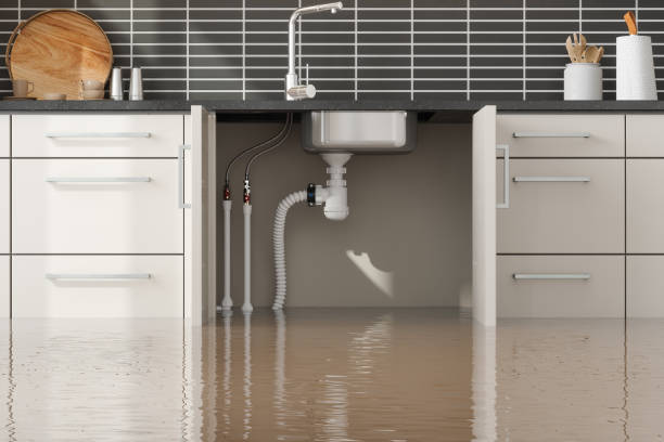 Best Water damage restoration experts  in Wareham Center, MA