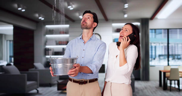 Best Water damage restoration services  in Wareham Center, MA